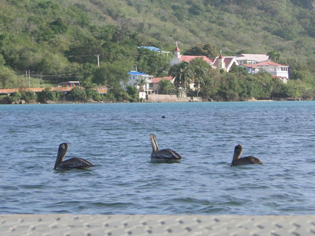 Posada Sunshine Paradise Providencia Island Eksteriør billede