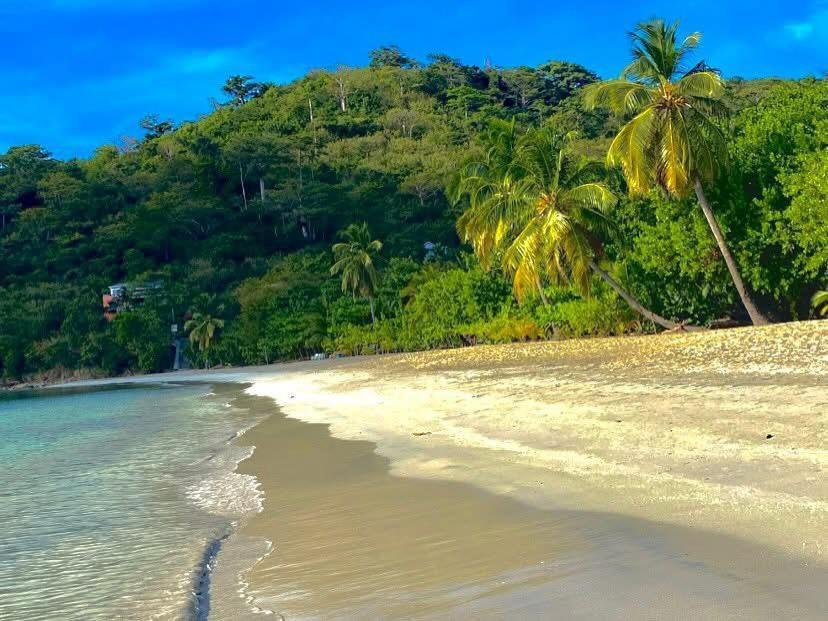 Posada Sunshine Paradise Providencia Island Eksteriør billede