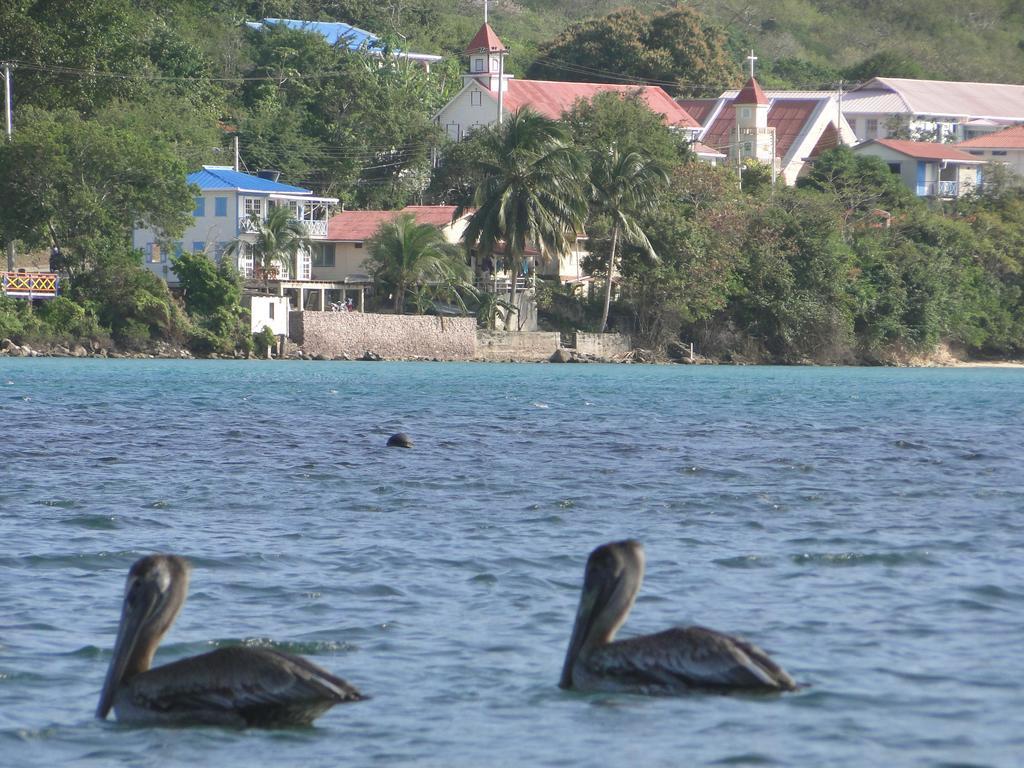 Posada Sunshine Paradise Providencia Island Eksteriør billede